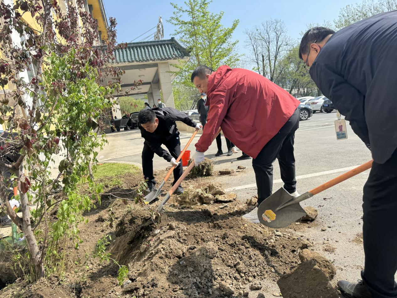 植樹造林添新綠，共創(chuàng)秀美鋼都景